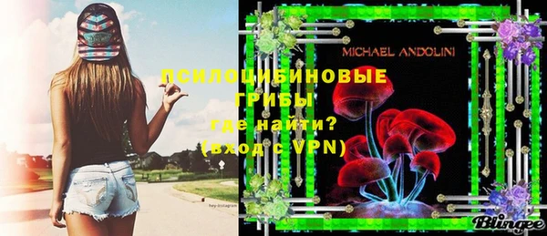 винт Мегион