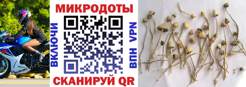 Галлюциногенные грибы мицелий Малоархангельск